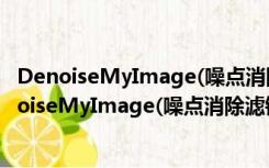 DenoiseMyImage(噪点消除滤镜插件) V3.0 特别版（DenoiseMyImage(噪点消除滤镜插件) V3.0 特别版功能简介）