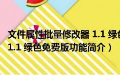 文件属性批量修改器 1.1 绿色免费版（文件属性批量修改器 1.1 绿色免费版功能简介）