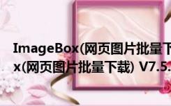 ImageBox(网页图片批量下载) V7.5.6 破解版（ImageBox(网页图片批量下载) V7.5.6 破解版功能简介）