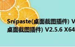 Snipaste(桌面截图插件) V2.5.6 X64 官方版（Snipaste(桌面截图插件) V2.5.6 X64 官方版功能简介）