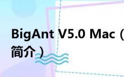 BigAnt V5.0 Mac（BigAnt V5.0 Mac功能简介）