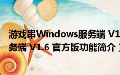 游戏串Windows服务端 V1.6 官方版（游戏串Windows服务端 V1.6 官方版功能简介）