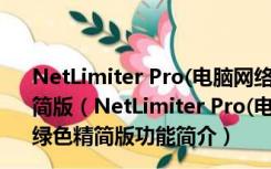 NetLimiter Pro(电脑网络流量监控软件) V4.0.48.0 绿色精简版（NetLimiter Pro(电脑网络流量监控软件) V4.0.48.0 绿色精简版功能简介）