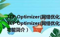 TCP Optimizer(网络优化加速软件) 3.08 绿色免费中文版（TCP Optimizer(网络优化加速软件) 3.08 绿色免费中文版功能简介）