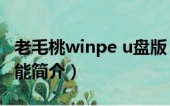 老毛桃winpe u盘版（老毛桃winpe u盘版功能简介）