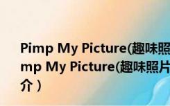 Pimp My Picture(趣味照片生成器) V1.2.1.98 官方版（Pimp My Picture(趣味照片生成器) V1.2.1.98 官方版功能简介）