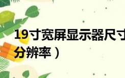 19寸宽屏显示器尺寸（19寸宽屏显示器最佳分辨率）