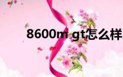 8600m gt怎么样（8600gt怎么样）