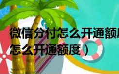 微信分付怎么开通额度多少第一次（微信分付怎么开通额度）