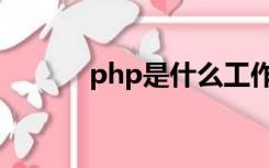 php是什么工作（php是什么）