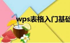 wps表格入门基础教程（wps表格）