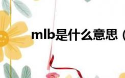 mlb是什么意思（mb是什么意思）