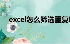 excel怎么筛选重复项（excel怎么筛选）