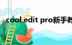 cool edit pro新手教程（cool edit教程）