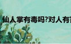 仙人掌有毒吗?对人有害吗?（仙人掌有毒吗）